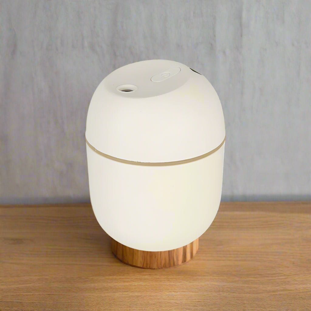 Portable Mini 220ML Air Humidifier USB Humidificador for Home Car Office with LED Night Lamp Freshner